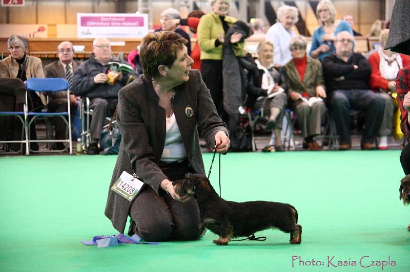 Crufts2011_2 1191.jpg